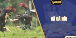 Đá Gà Nòi Luck8 - Bí Quyết Thắng Lớn Nhờ Mẹo Siêu Hay 